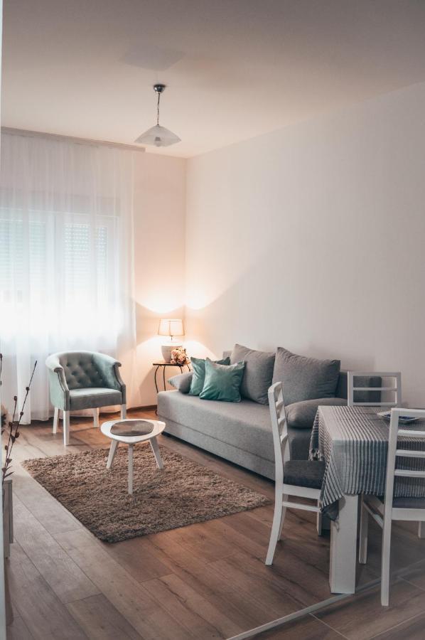 Apartman Lena Banja Koviljača Exterior foto
